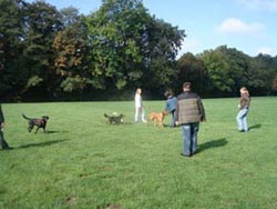 hundeschule