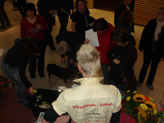 messe