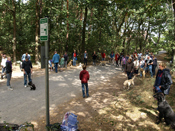 rally