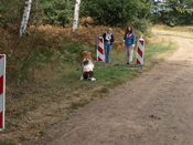 rally