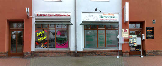 salon_1
