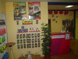 shop