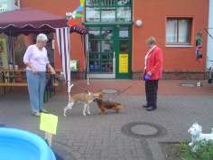 tierzentrum