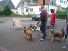 tierzentrum